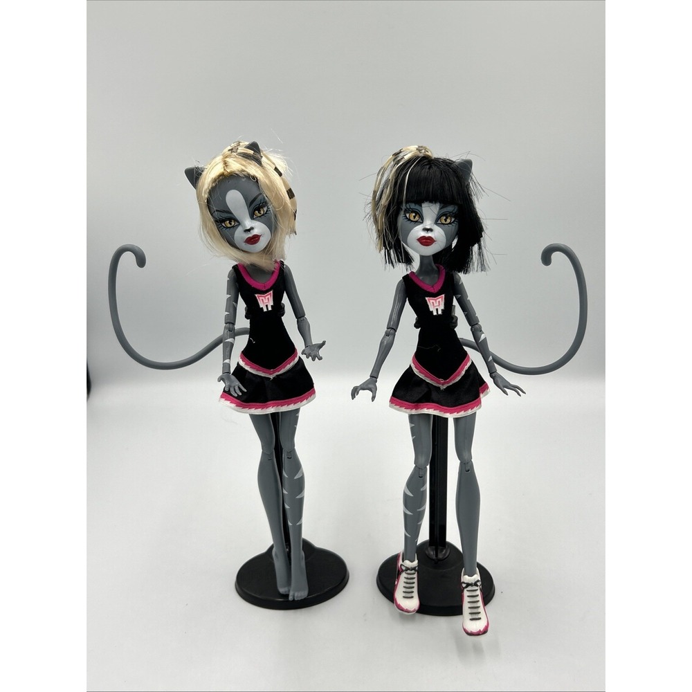 Monster High Fearleading Squad Werecat Purrsephone & Meowlody Doll 2011 G1 Diary